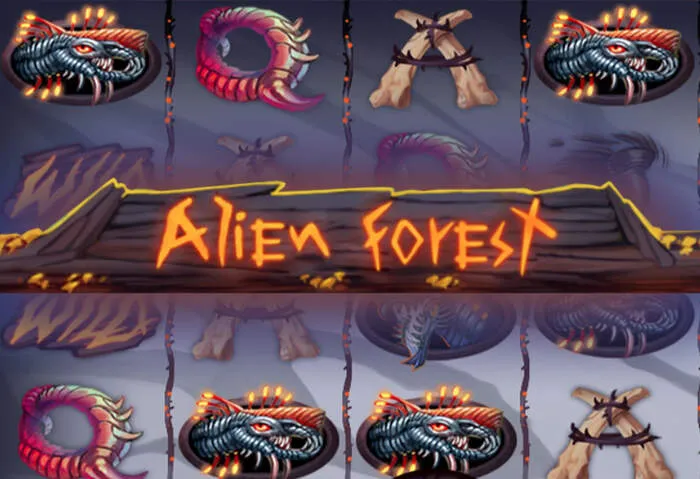 Playing popular slots with Jeetwin no deposit bonus codes.